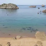 El Pedregal Playa De Ris *